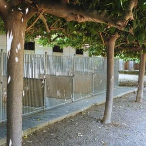 Jaulas exteriores en la Residencia Canina Mes K Gossos, situadas en un área sombreada por árboles, ofreciendo un ambiente fresco y natural para las mascotas.