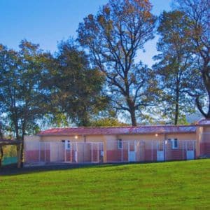 Instalaciones al aire libre de la Residencia Canina Amicans, rodeadas de árboles y césped verde, ofreciendo un entorno natural y tranquilo para las mascotas.