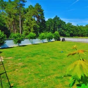 Amplio área verde de recreo al aire libre en la Residencia Canina Daponte, rodeado de árboles y naturaleza.
