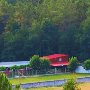 Vista de las instalaciones de la Residencia Canina Daponte rodeadas de árboles y vegetación, con un edificio rojo y áreas verdes amplias.