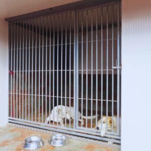 Dos perros descansando en jaulas espaciosas en la Residencia Canina Daponte, con comederos en el exterior para su comodidad.