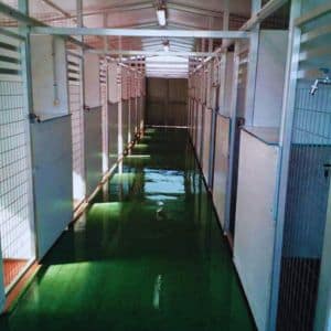 Pasillo interior de la Residencia Canina CanGal, con jaulas individuales y un suelo verde, diseñado para la comodidad y seguridad de las mascotas.