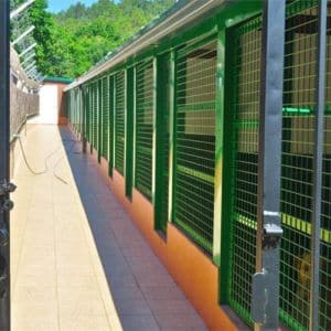Pasillo exterior con jaulas verdes en la Residencia Canina Daponte, diseñado para la comodidad y seguridad de los perros en un entorno natural.