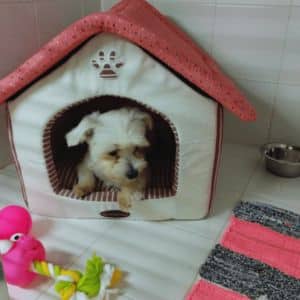 Perro pequeño descansando en una casita acolchada dentro de la Residencia Canina Veiga Do Ulla, con juguetes y una alfombra cercana.