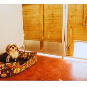Perro pequeño descansando en una cama acolchada dentro de la Residencia Canina CanGal, en una habitación con detalles de madera y suelo rojo.