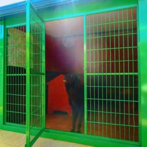 Perro negro dentro de una jaula individual con puertas verdes en la Residencia Canina Daponte, diseñada para proporcionar seguridad y comodidad.