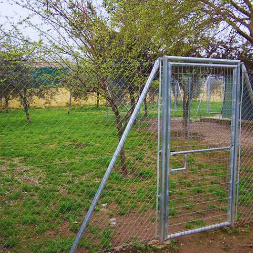 Área cercada con césped y árboles, diseñada para la seguridad de las mascotas en la Residencia Canina CanSport en Córdoba.