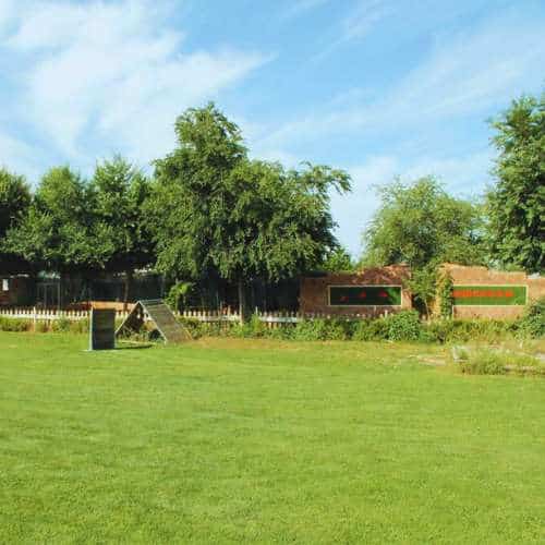 Zona verde de recreo con juegos para perros en la residencia canina Herocan en Toledo, rodeada de árboles y áreas de entrenamiento.