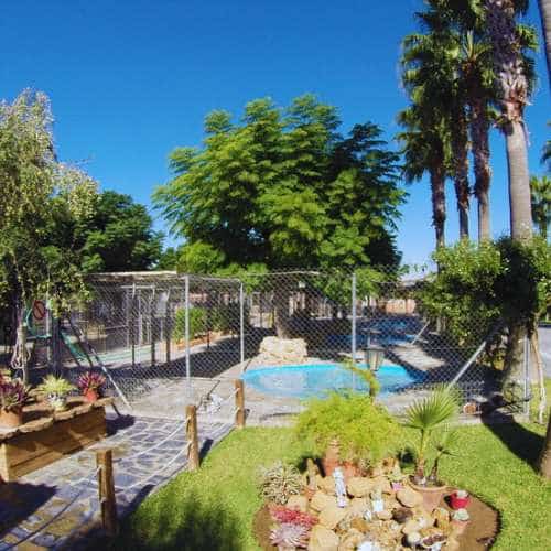 Área de recreo con piscina y zonas ajardinadas en la Residencia Canina El Sagasta en Granada, diseñada para el confort y entretenimiento de las mascotas.