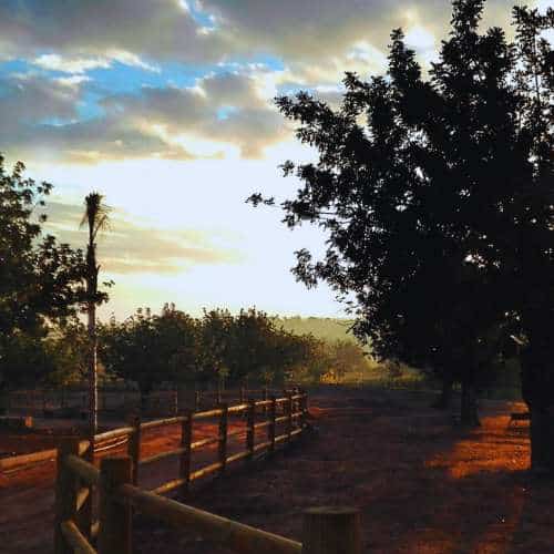 Atardecer en la zona de recreo al aire libre de La Villa Hotel Canino, Valencia, con árboles y un sendero cercado que crea un entorno tranquilo y natural.