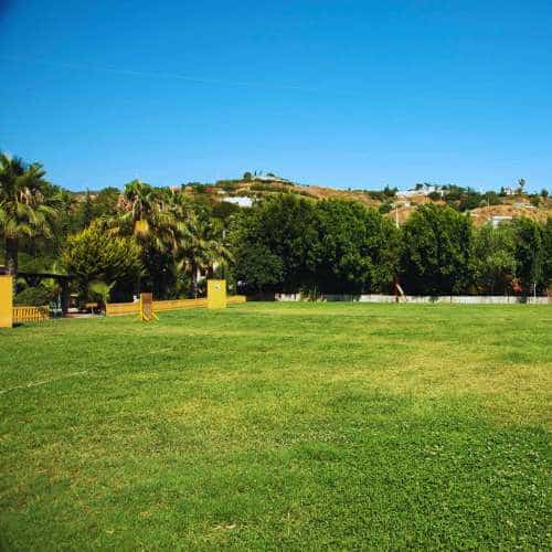Amplio campo verde en la Residencia Paraíso en Málaga, ideal para que las mascotas disfruten al aire libre.