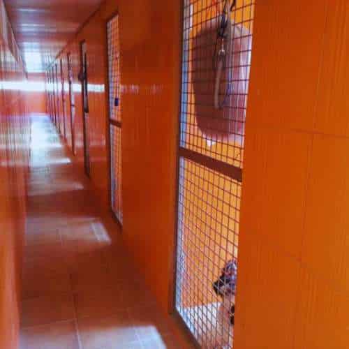 Pasillo iluminado con habitaciones individuales en la residencia canina Chichet, ubicada en Valencia.
