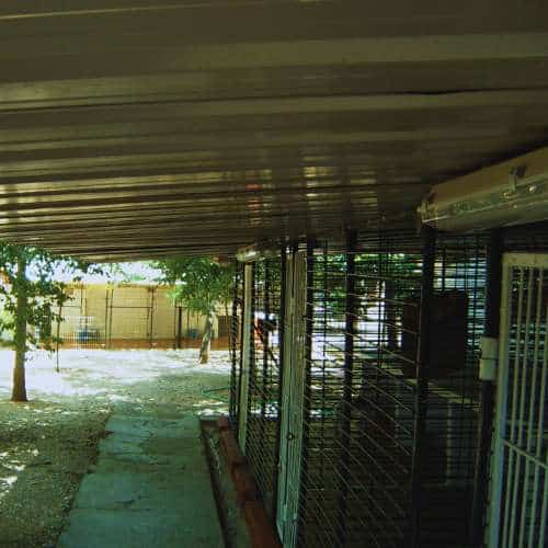 Corredores cubiertos de la Residencia Canina Séneca en Córdoba, diseñados para ofrecer comodidad y protección a las mascotas.