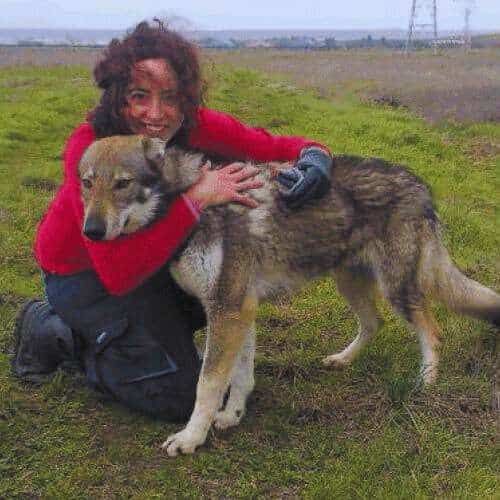 Mujer abrazando a un lobo en un entorno natural cerca de la Residencia Canina Ramos en Burgos, reflejando confianza y cuidado.