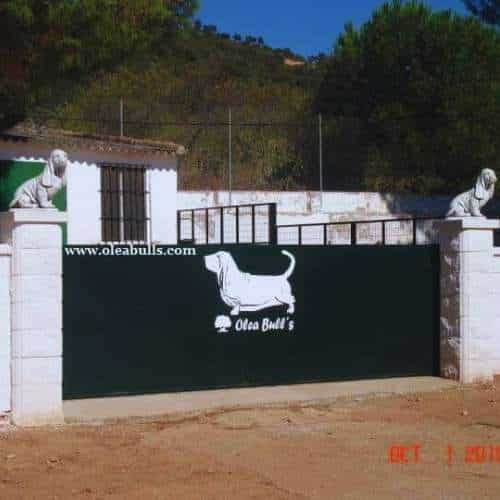Entrada principal de la Residencia Canina OleaBull's en Córdoba con un portón verde decorado con estatuas de perros.