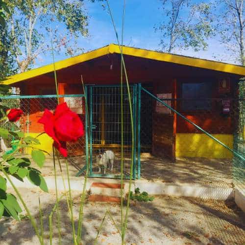 Entrada principal de la Residencia Las Chiveas en Granada, rodeada de flores y vegetación.