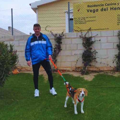 Entrenador con un perro durante una sesión de paseo en la Residencia Los Amigos de Erik en Guadalajara.