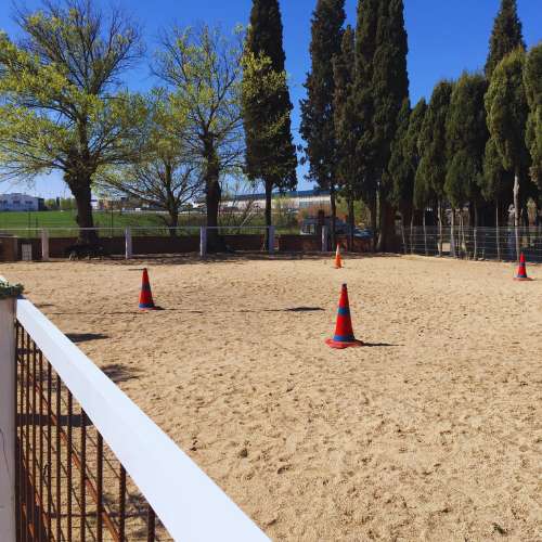 Estantería con jaulas individuales en el interior de la residencia canina Los Álamos, diseñada para proporcionar un espacio seguro y cómodo para las mascotas.