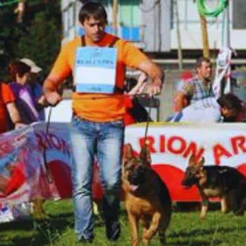 Participante en una exposición canina llevando dos perros pastor alemán en un evento organizado cerca de la Residencia Canina Bureba en Burgos.