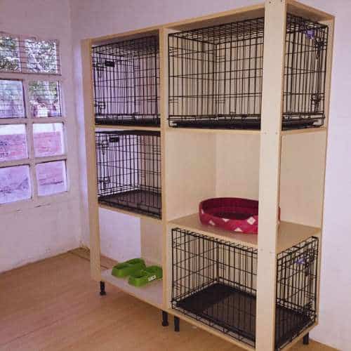 Estantería con jaulas individuales en el interior de la residencia canina Los Álamos, diseñada para proporcionar un espacio seguro y cómodo para las mascotas.