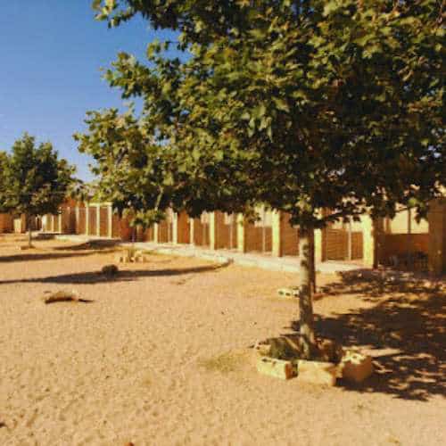 Instalaciones exteriores de la Residencia Los Amigos de Erik en Guadalajara, con jaulas y áreas sombreadas por árboles.