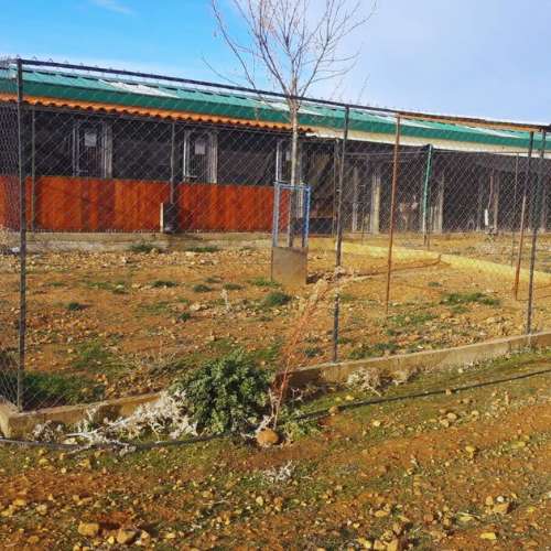 Instalaciones exteriores de la Residencia Rivendel en Guadalajara, con áreas valladas y espacios seguros para mascotas.