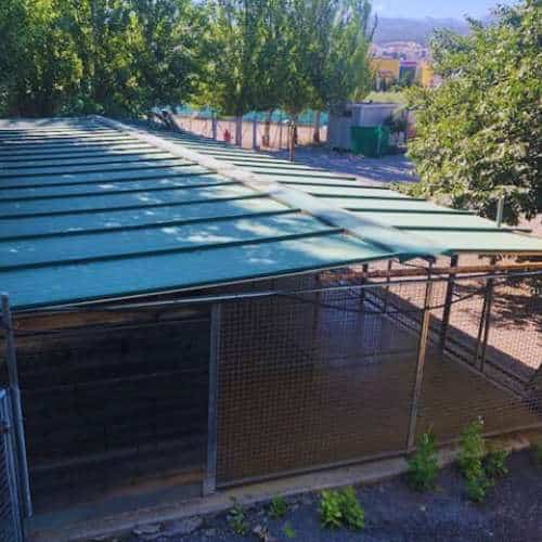 Instalaciones de Granacan, residencia canina en Granada, con jaulas techadas y rodeadas de un entorno natural.