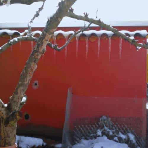 Zona exterior de la Residencia Canina Ramos en Burgos cubierta de nieve, con carámbanos colgando del tejado de un edificio rojo y un árbol en primer plano.