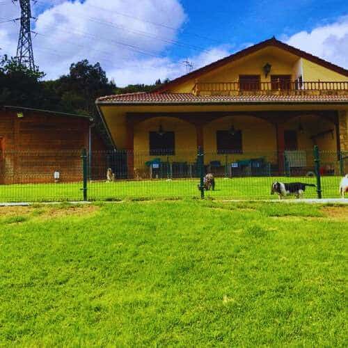 Instalaciones principales de la Residencia Canina Villa Halcón en Bilbao, con un edificio amarillo de estilo rústico rodeado de áreas verdes cercadas y perros paseando en el jardín.