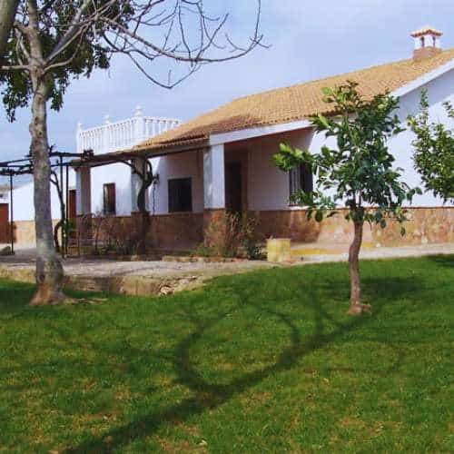 Vista frontal de las instalaciones principales de la Residencia Canina CanSport en Córdoba, rodeadas de jardines verdes y árboles.