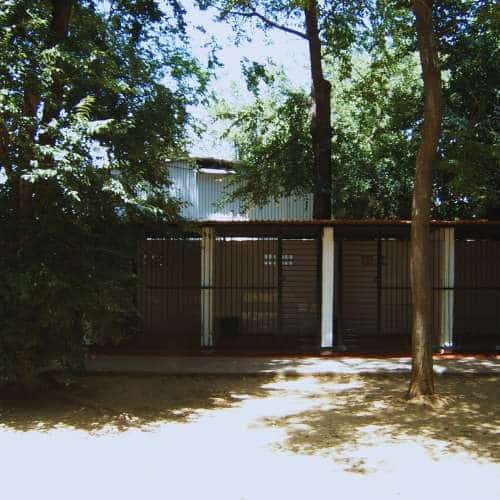 Vista de las instalaciones de la Residencia Canina Séneca en Córdoba, rodeadas de árboles que proporcionan sombra y un ambiente natural para los perros.