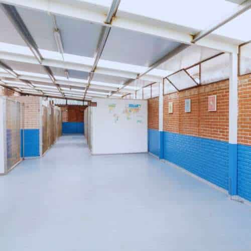 Pasillo limpio y bien iluminado de la Residencia Canina Parayas, con divisiones individuales para cada mascota.