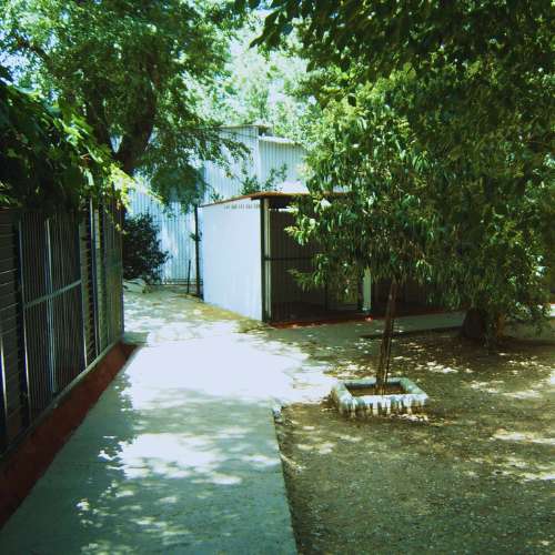 Instalaciones sombreadas y frescas de la Residencia Canina Séneca en Córdoba, diseñadas para el confort de las mascotas.