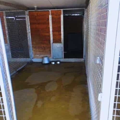 Interior de una jaula en Granacan, residencia canina en Granada, equipada con comederos y diseñada para la comodidad de las mascotas.