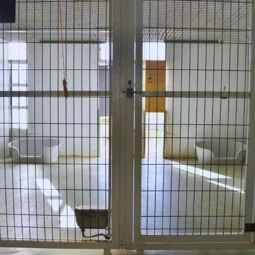 Vista del interior de las instalaciones de la residencia canina Los Álamos en Toledo, con áreas privadas y camas para el descanso de las mascotas.