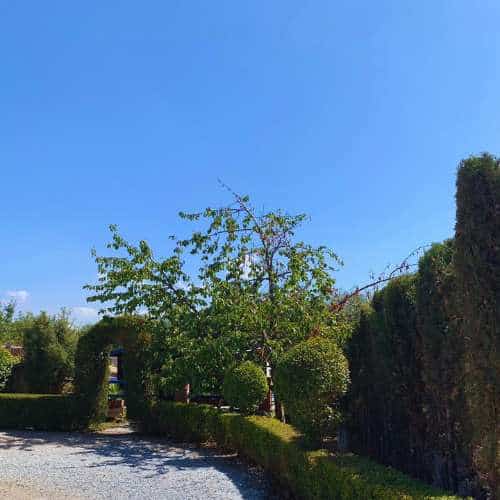 Vista del jardín exterior de la Residencia Las Chiveas en Granada, con árboles podados, setos decorativos y caminos de grava.