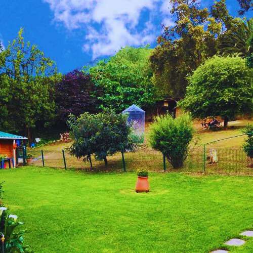 Jardín verde de la Residencia Canina Villa Halcón en Bilbao, rodeado de árboles, arbustos, y un entorno natural cuidado, con una caseta visible al fondo.