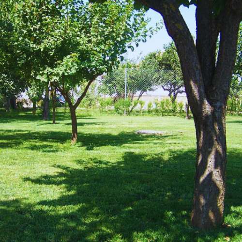 Jardines verdes y sombreados de la Residencia Canina CanSport en Córdoba, ideales para el bienestar de las mascotas.