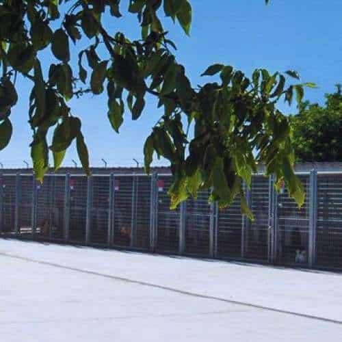 Jaulas exteriores de la Residencia Canina Ramos en Burgos, con estructura metálica y rodeadas de un entorno natural bajo un cielo despejado.