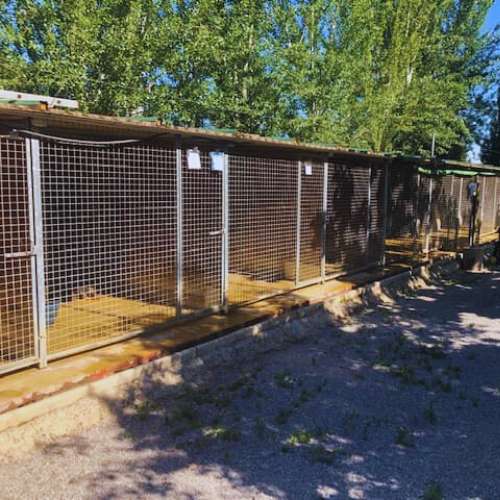 Jaulas exteriores en Granacan, residencia canina en Granada, diseñadas para la seguridad y comodidad de las mascotas.