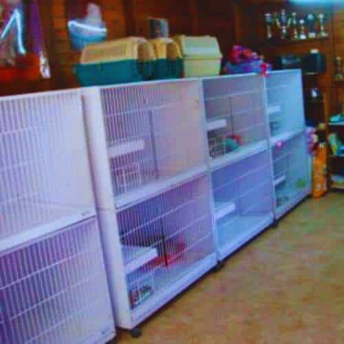 Jaulas blancas organizadas dentro de la Residencia Canina Aiartza, con accesorios, trofeos y elementos de cuidado para mascotas visibles en el fondo.