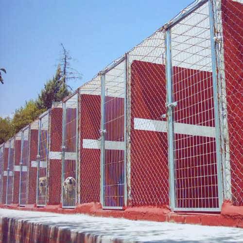 Jaulas exteriores en la Residencia Canina Can Hotel en Madrid, diseñadas para garantizar la seguridad y comodidad de las mascotas.