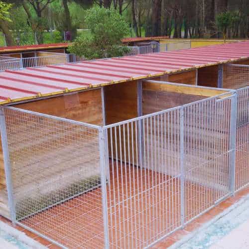 Jaulas amplias y seguras en la Residencia Canina Malilupus, rodeadas de naturaleza.