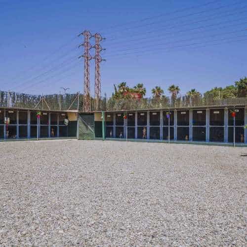 Vista de las jaulas espaciosas en la Residencia Canina Unican en Málaga.