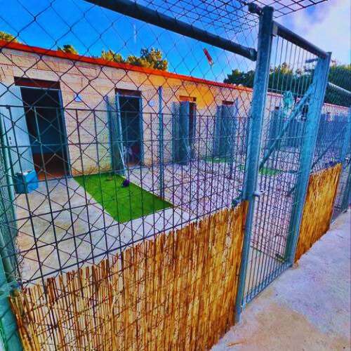 Jaulas individuales seguras en la Residencia Canina Las Cortes en Burgos, con césped artificial y un diseño moderno, rodeadas por vallas metálicas.