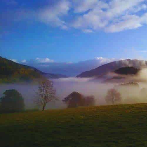 Paisaje natural cerca de la Residencia Canina Kadagua S.L., con colinas cubiertas de niebla, árboles dispersos y un cielo parcialmente nublado.