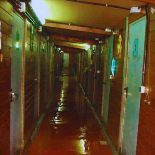 Pasillo interior de la Residencia Canina Aiartza con puertas de madera y metal en ambos lados, mostrando un ambiente limpio y organizado para el alojamiento de mascotas.