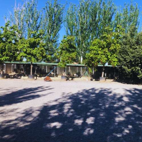 Vista del patio exterior en Granacan, residencia canina en Granada, rodeado de árboles y diseñado para el esparcimiento de las mascotas.