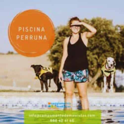 Piscina perruna en la Residencia Canina Campamento de Mascotas en Toledo, con perros disfrutando del agua y una cuidadora observando.