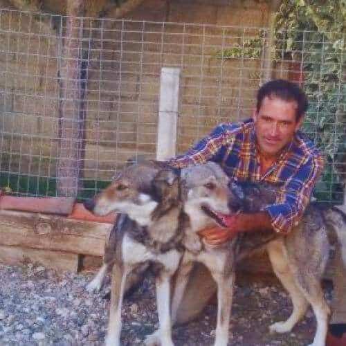 Propietario de la Residencia Canina Ramos en Burgos posando con dos lobos en un área cercada.